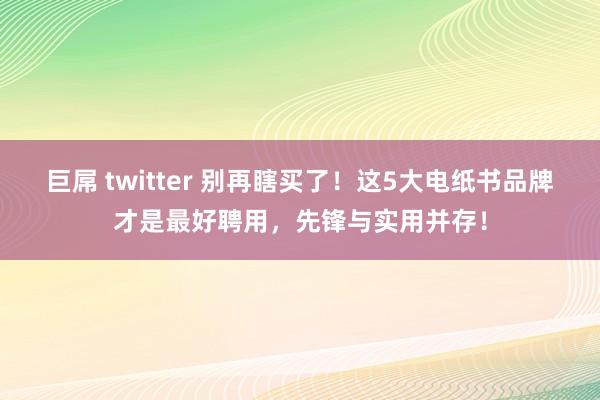 巨屌 twitter 别再瞎买了！这5大电纸书品牌才是最好聘用，先锋与实用并存！