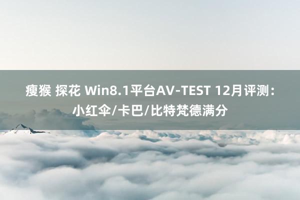 瘦猴 探花 Win8.1平台AV-TEST 12月评测：小红伞/卡巴/比特梵德满分